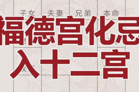 福德宫紫薇斗数