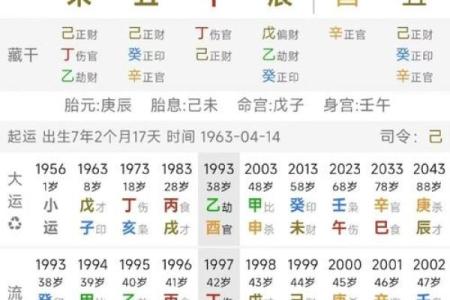 八字阳多