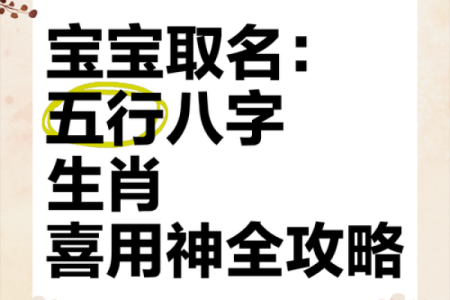 八字取名网