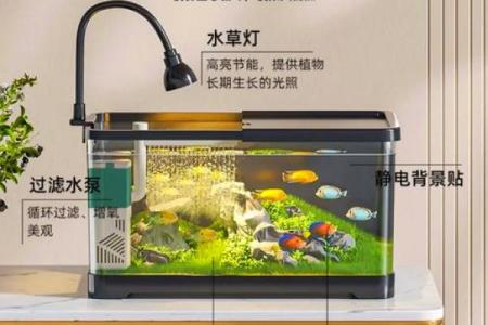 在鱼缸里盖房子好不好风水