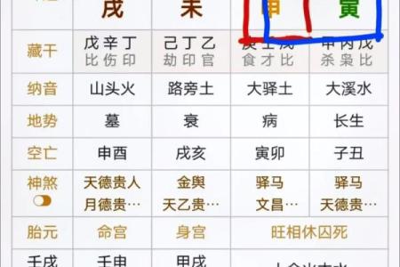 八字干支直断秘诀 如何利用八字干支进行直接断言