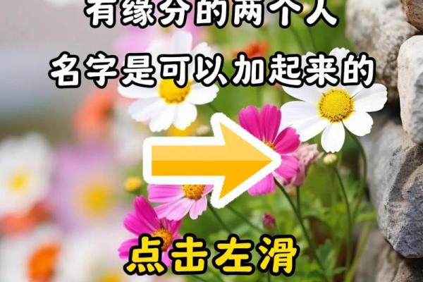 看名字测试缘分 姓名测试缘分？