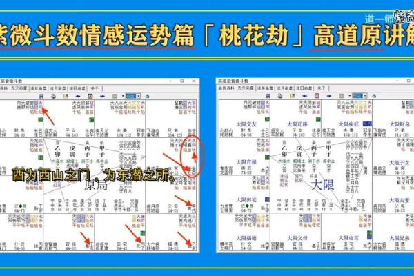 紫薇斗数流年桃花