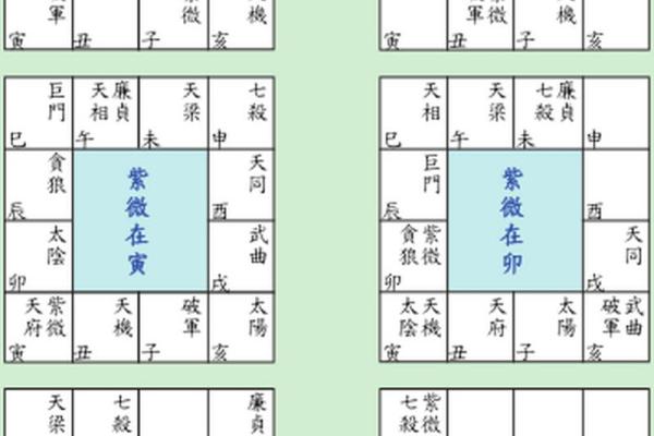 紫薇斗数文曲在命宫