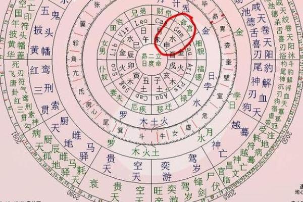 紫薇斗数文曲在命宫