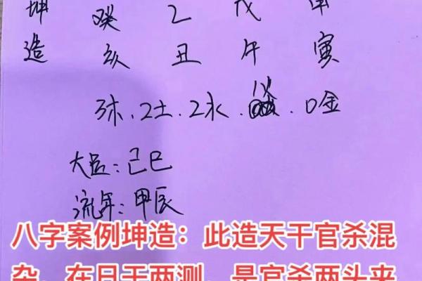 什么是八字木多呢