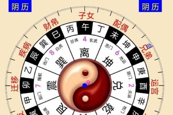 紫薇斗数运疾
