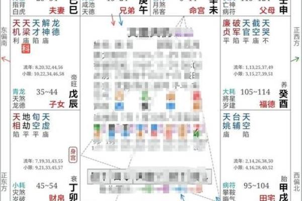 紫薇斗数运疾