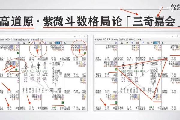 紫微斗数占卜 紫微斗数占卜最简单三个步骤？