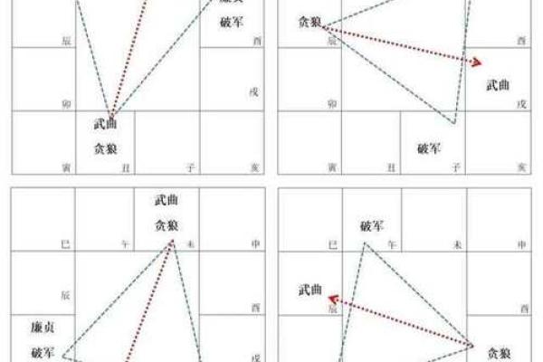 紫薇斗数贪狼化权