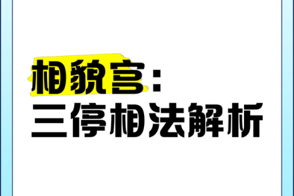 面相算命入门什么是三停 面相基础知识