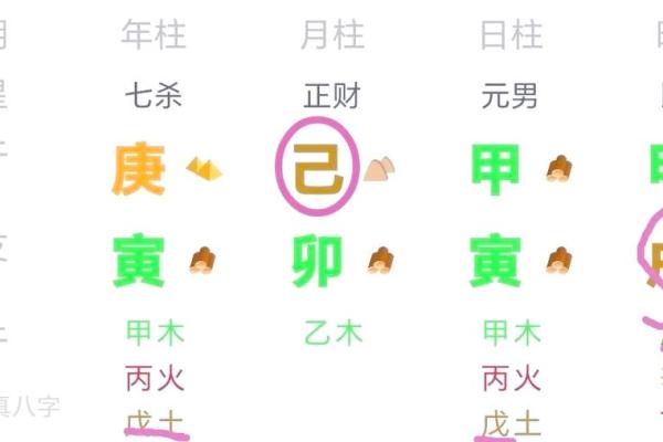 八字中的旺衰与通根介绍,乙木上等八字格局