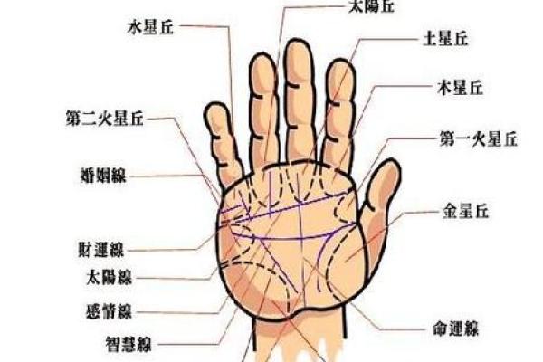 手上胎记算命图解