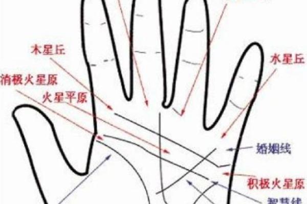 手上胎记算命图解