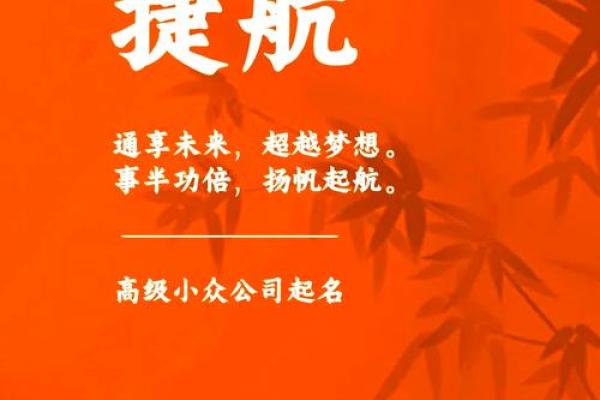 物流公司取名大全-名字大全姓名