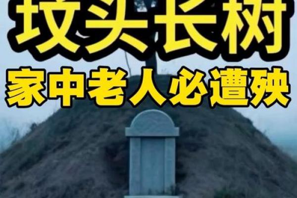 风水鬼故事之坟头怪树