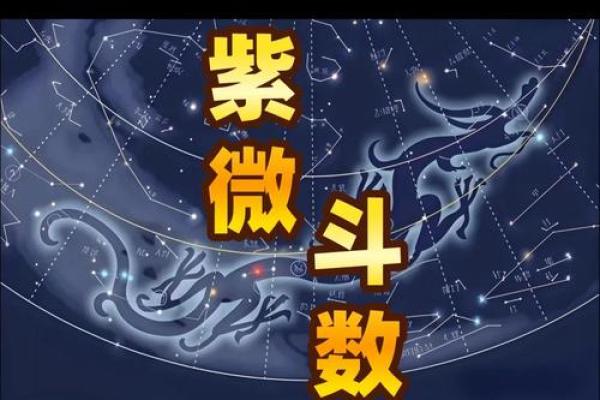 紫薇斗数中的吉星