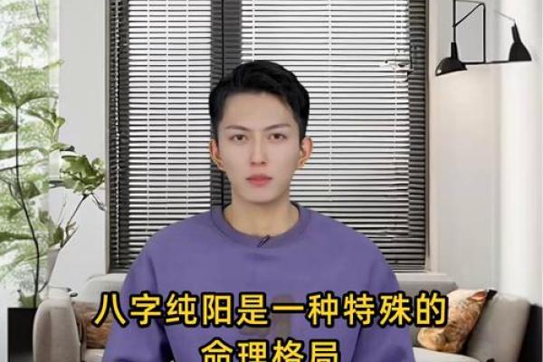 男八字纯阳