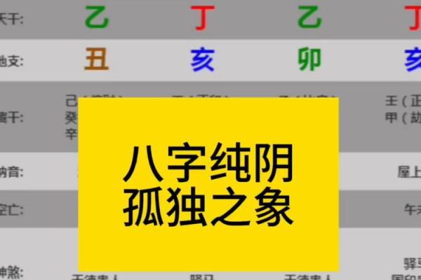 男的八字纯阴