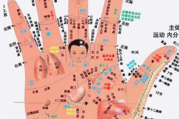 怎么看手相女八字命理详解