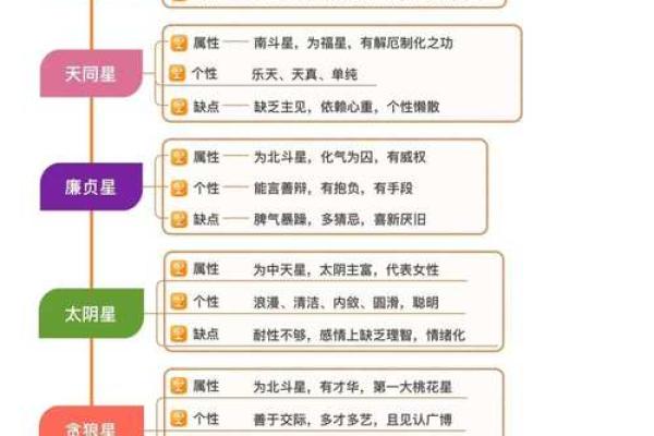 紫薇斗数宫位详解