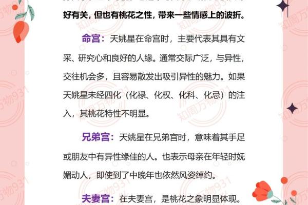 紫薇斗数宫位详解