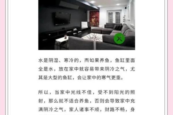 家庭中养鱼，要注意的风水详解