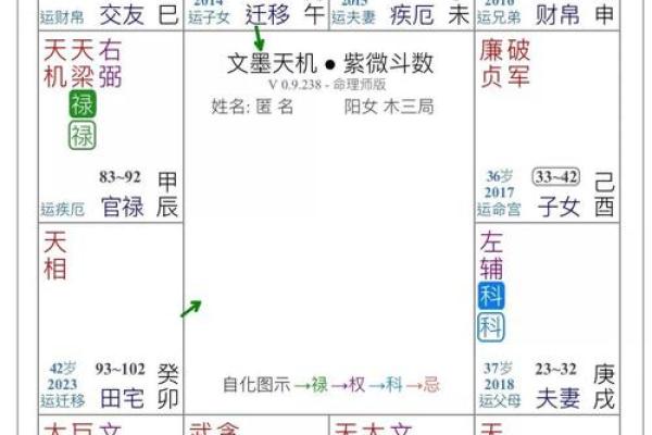 楚天云阔紫薇斗数