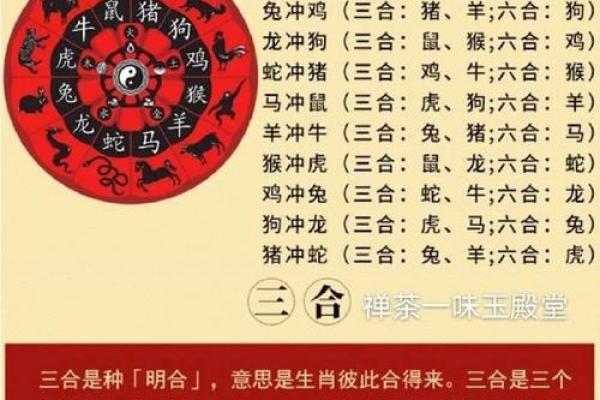 八字十二地支三合六合详细解说