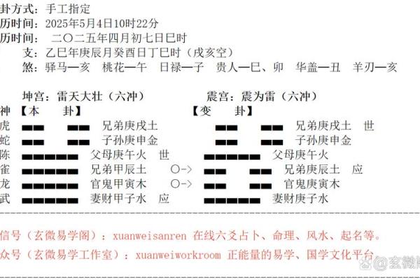 紫微斗数之八卦万物类象：震卦详解