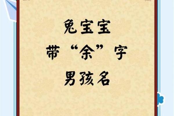 辛时出生的属兔男孩怎么取名字姓名