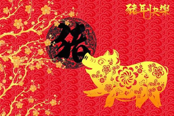 买房子选楼层,看风水.我属虎,木.老公属羊,土.