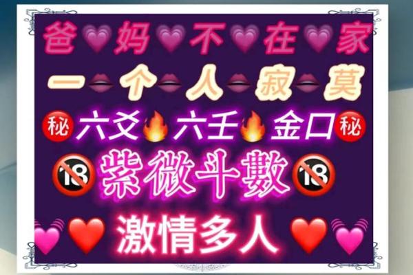 紫薇斗数灵媒