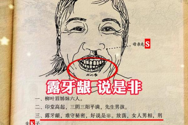 风水角度：柳叶眉女生的面相解释
