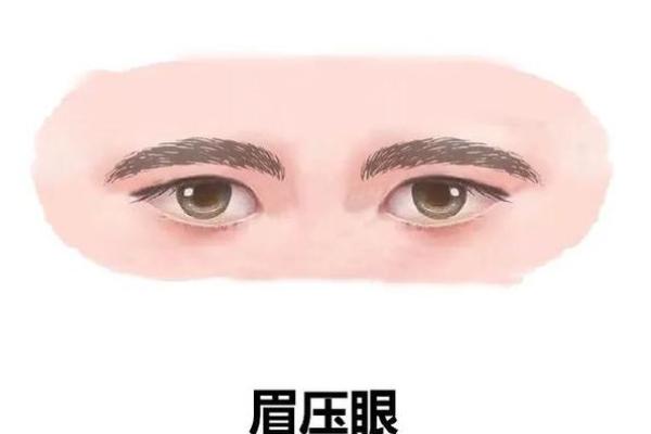 风水角度：柳叶眉女生的面相解释