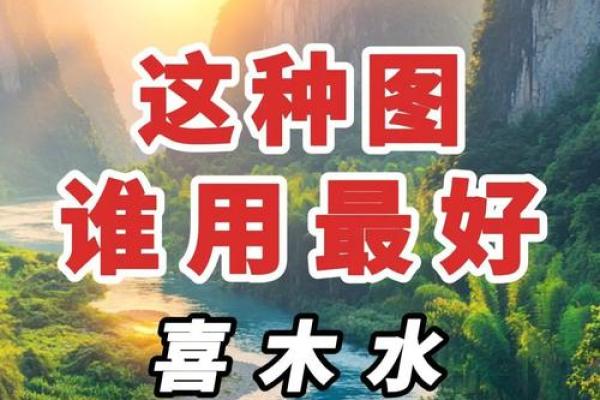 五行缺木八字喜水的字