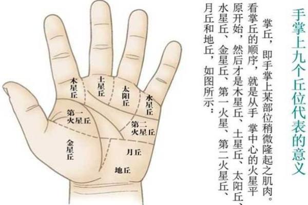 怎么算命用手就行