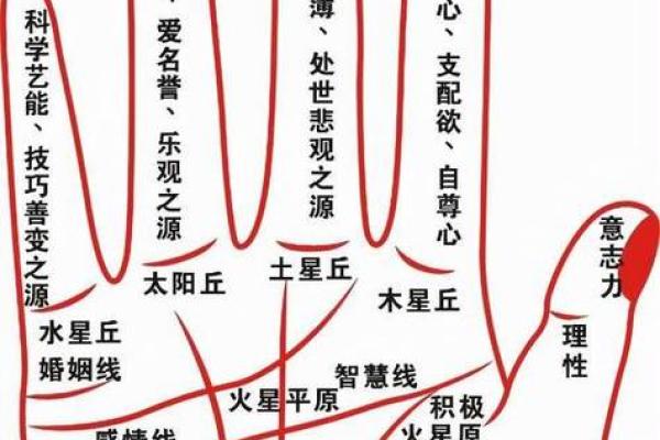 怎么算命,怎样算命最准又简单