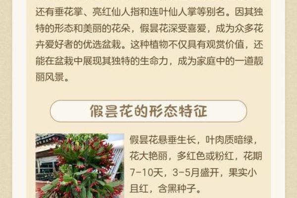 解答关于假花对风水有什么影响