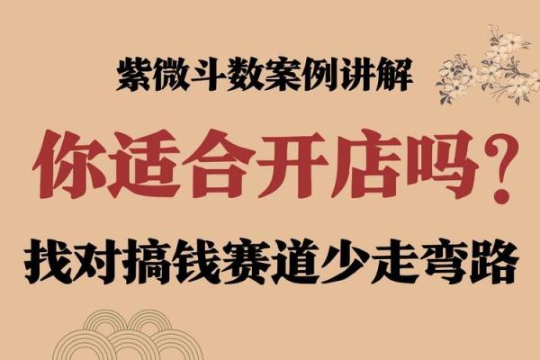 紫薇斗数看讨债
