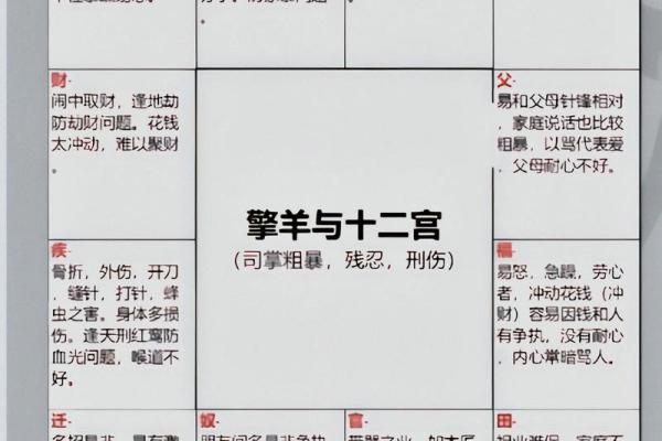 紫薇斗数精成十二