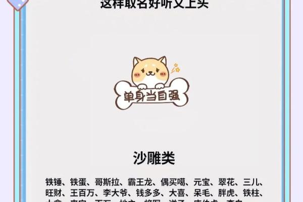 2018年男狗宝宝取什么名字最好？取名常用方法有哪些？-华易网姓名