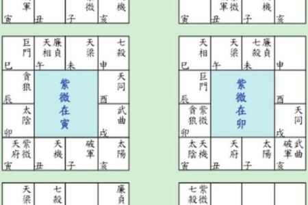 紫薇斗数文曲在命宫