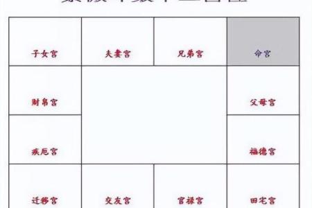 紫微斗数排盘天魁星坐命宫分析,十二宫分析