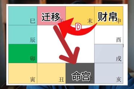 紫薇斗数宫职