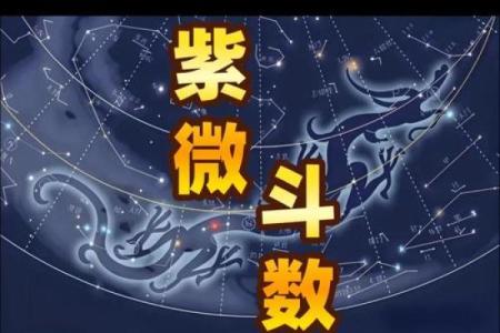 紫薇斗数中的吉星
