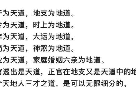 提纲八字