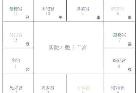 紫微斗数之疾厄宫在戌宫，是什么意思？