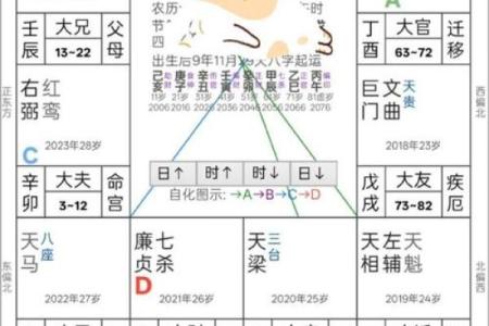 紫薇斗数高人解盘
