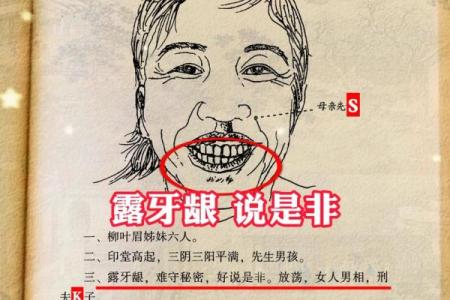 风水角度：柳叶眉女生的面相解释